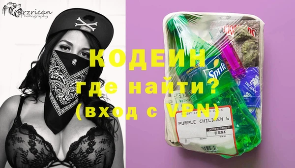 СК Кодинск