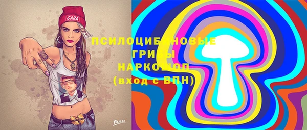 СК Кодинск
