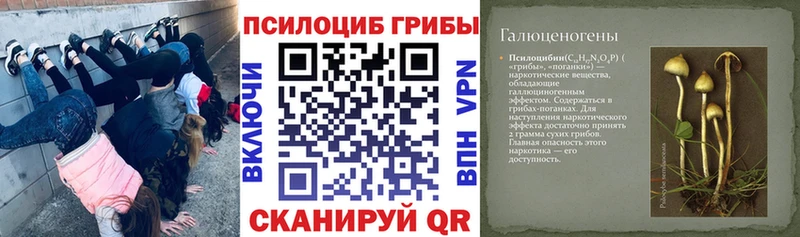 Галлюциногенные грибы прущие грибы  Константиновск 